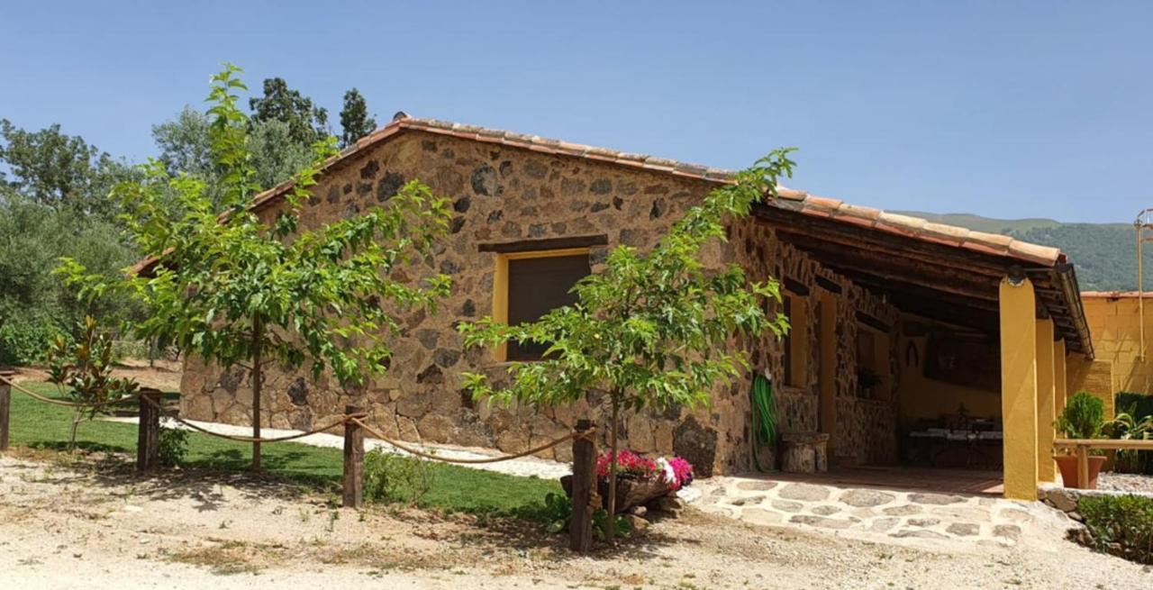 Casa Rural Las Traviesas Candeleda Dış mekan fotoğraf