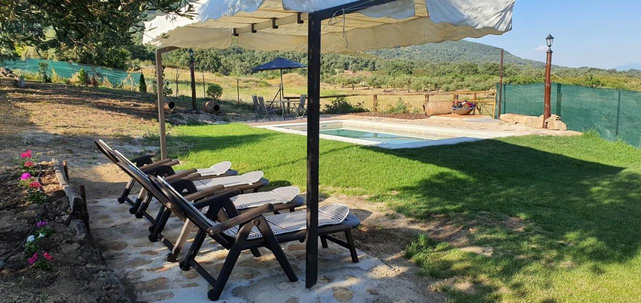 Casa Rural Las Traviesas Candeleda Dış mekan fotoğraf